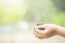 derechos ecológicos 