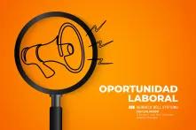 empleobolldemocraciafeb2023