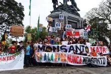 Personas protestando con mantas por el uso de monsanto, las mantas dicen monsanto mata. 
