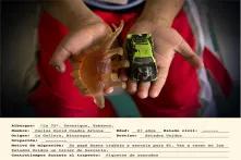 Reliquias Imágenes de migrantes centroamericanos realizadas en el albergue para migrantes “La 72”, Tenosique, Tab