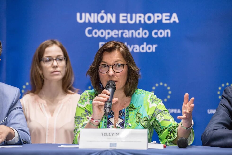 Sra.	Tilly METZ (Greens/ALE, Luxemburgo), Presidenta DCAM.