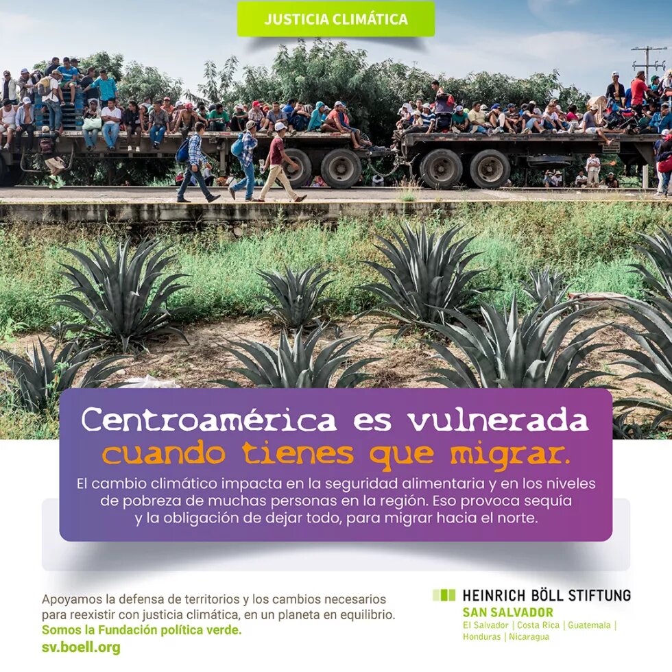 ca vulnerada 3