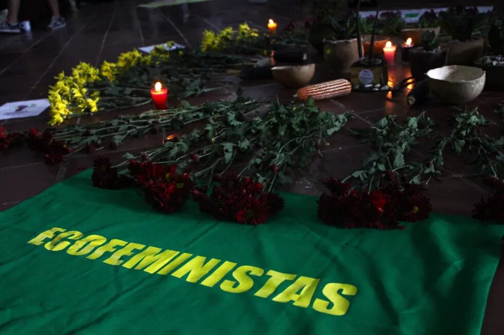 ecofeministas 8