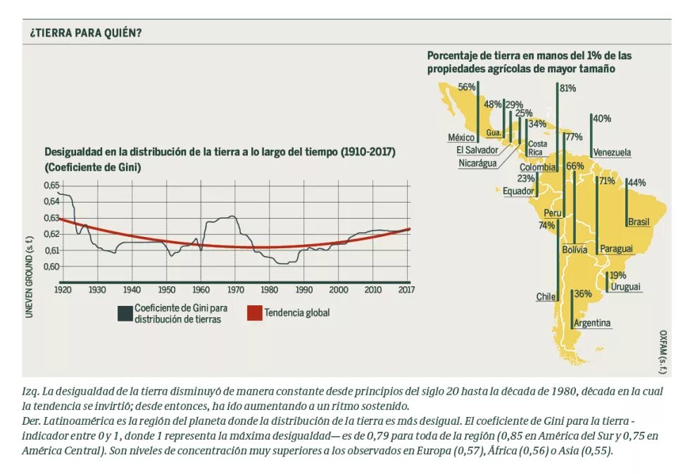 Grafica