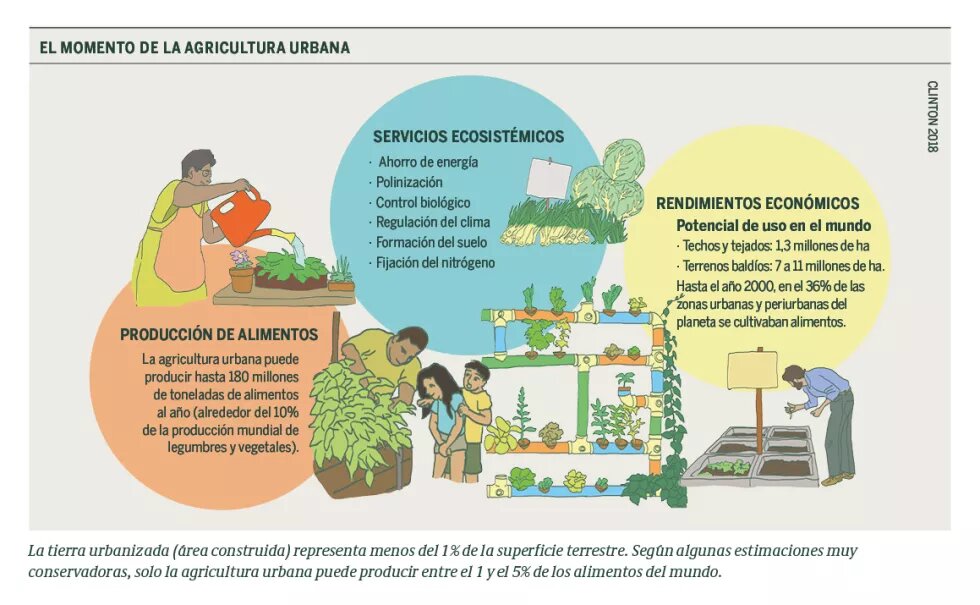 El momento de la agricultura urbana El momento de la agricultura urbana, grafica que muestra tres porcesos de la misma.