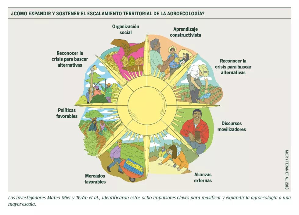 Redes agroecología Grafica que muestras los diversos elementos de la agroecología.