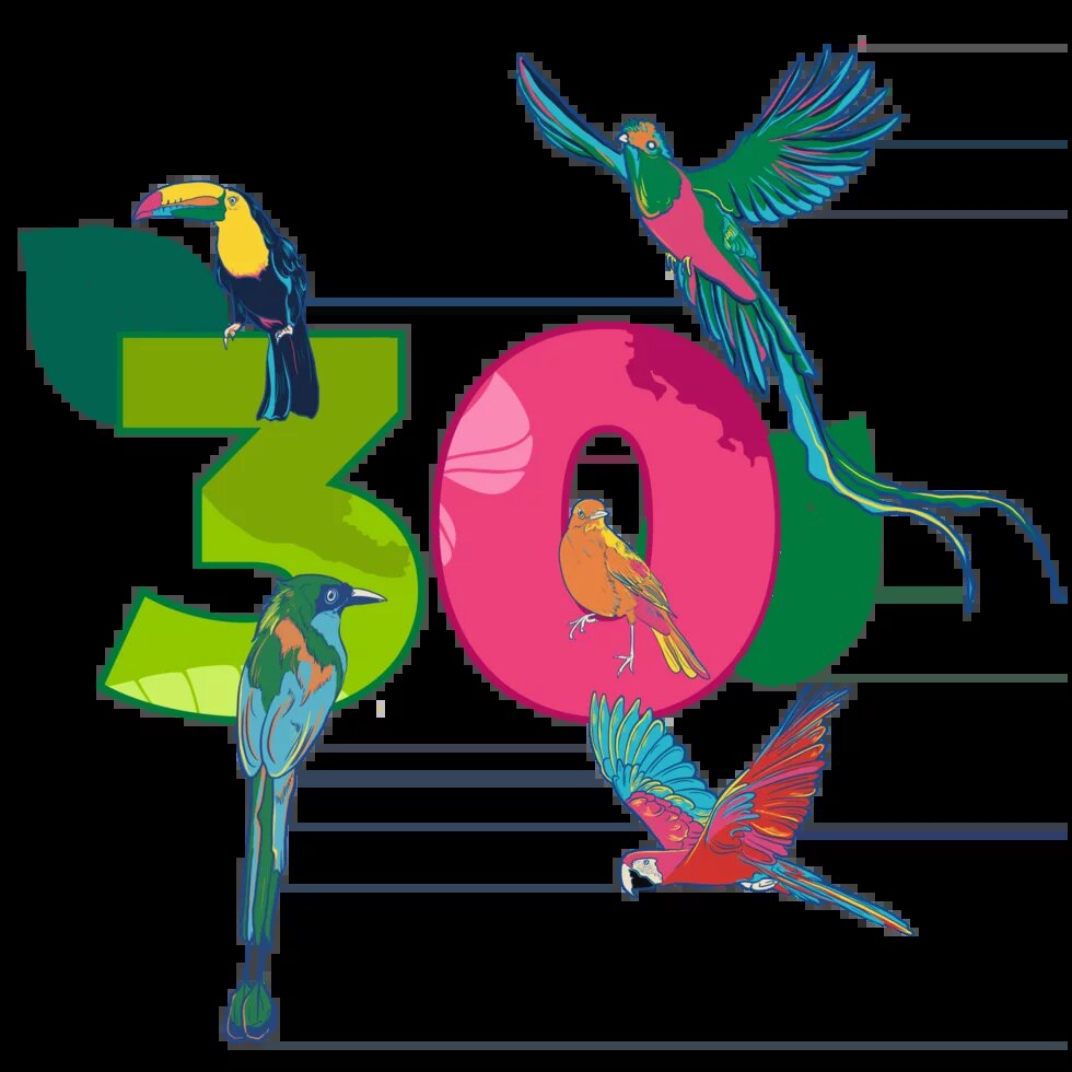 30 años