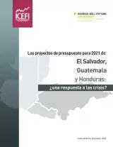 Presupuestos ESGH 2021 Icefi-hbs-1 copia.png